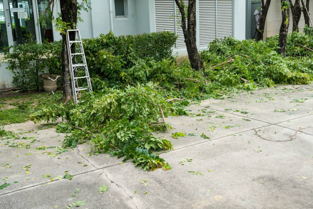 Best Hazardous Tree Removal  in Meiners Oaks, CA